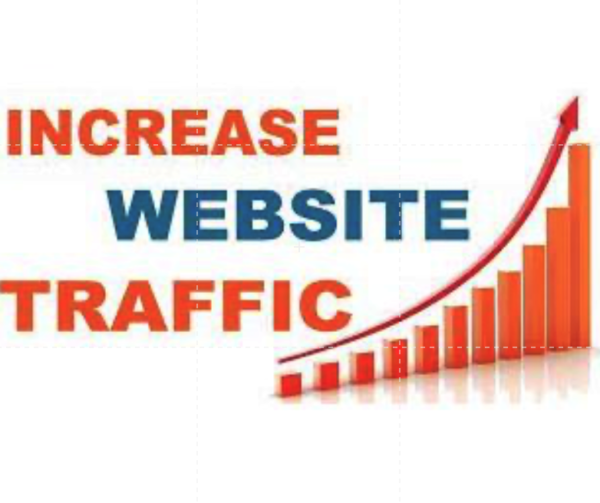 Website Traffic 200 dari Google generator Web SEO digital